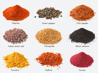 Different kinds of spices with names on white background