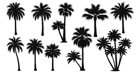 Midnight Palms: Silhouette Serenade AI Generated