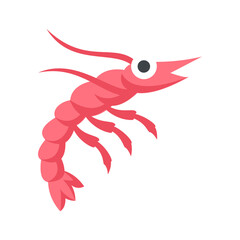 vector illustration of a shrimp