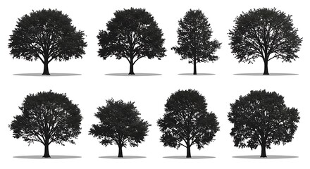 Fototapeta premium Tree silhouettes isolated on white background