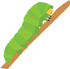 A vector art of a caterpillar.