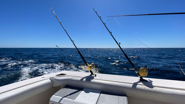Deep Sea Fishing in Cabo San Lucas