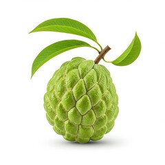 Fototapeta premium Fresh Cherimoya Fruit with Leaves