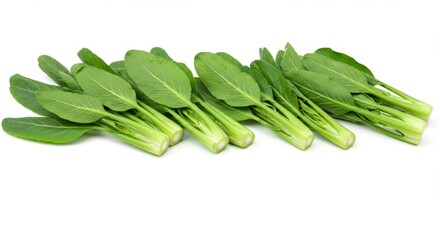 Fresh bundles of vibrant choy sum against a stark white backdrop, healthy food