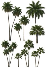 Palm Paradise: Digital Oasis AI Generated