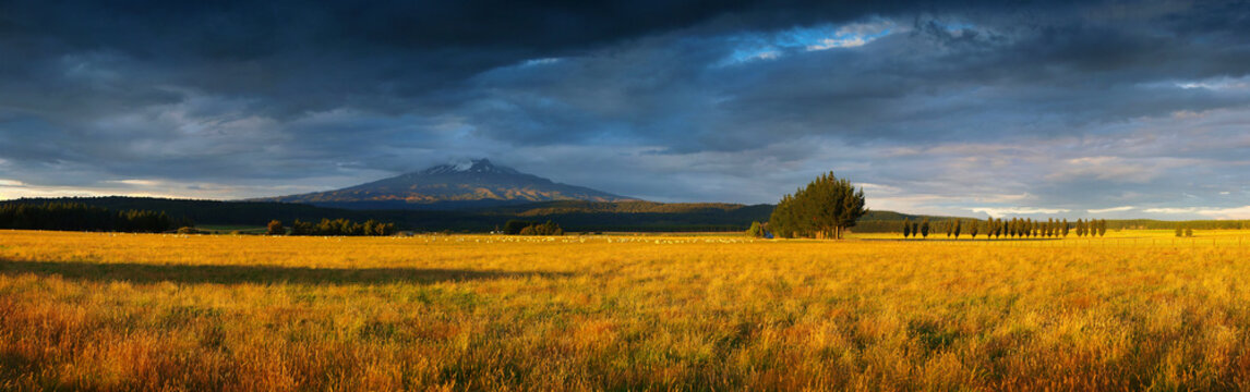 Sunset in Tongariro / New Zealand