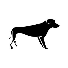Dog icon on white background
