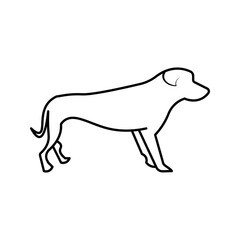 Dog icon on white background