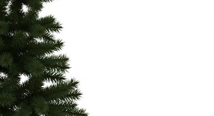Obraz premium Festive evergreen bough framing a blank canvas for seasonal content