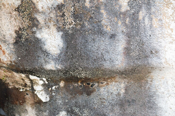 Weathered wall surface with stains and mold