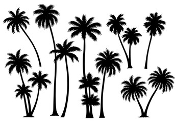 Palm Silhouette Symphony AI Generated