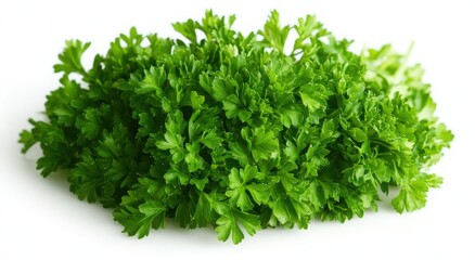 Fresh parsley sprig, vibrant green, healthy herb.