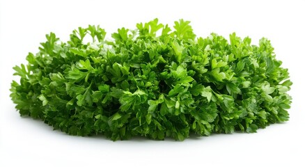 Fototapeta premium Fresh parsley bunch, vibrant green leaves.