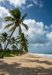 Coastal Serenity: Midday Sun AI Generated