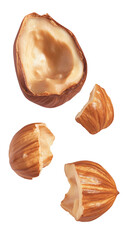 Close-up of a whole and broken roasted hazelnut with creamy interior and crunchy isolated on white background for healthy snack ingredients and nut appreciation