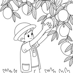 ‎‎A black and white A boy is picking mangoes from a tree  illustration line art of a coloring page white background