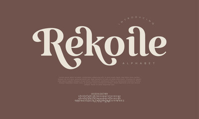 Playful serif font with bold personality, great for posters, packaging, and creative branding