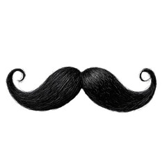 Handlebar Mustache: Styles & Designs on white background