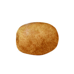 キウイフルーツ　果物　水彩 イラスト