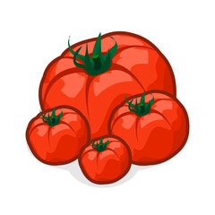 tomatoes on a white background