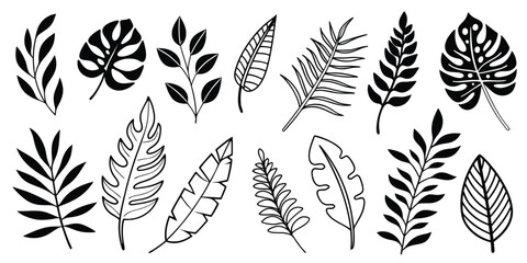 Set of vector tropical leaves, isolated outline on a white background, blank for design