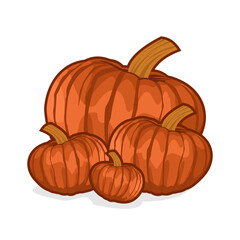 pumpkin isolated on white background