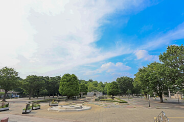爽やかな青空と新緑