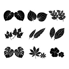 Vector silhouette of leaf types