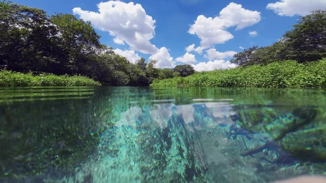 Low angle water surface POV, floating down clear Sucuri River current