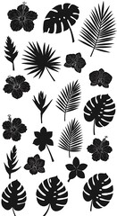 Fototapeta premium Midnight Bloom Silhouette