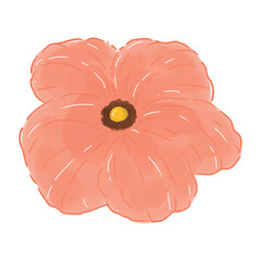  aster flower watercolor PNG illustration