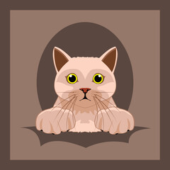 vector illustration of a cat