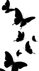 Fototapeta premium Silhouette Flutter AI Generated