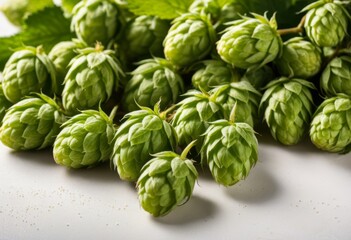 Obraz premium Close-up of a pile of green hops on the table