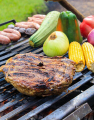 grilled piece of meat with vegetables on a grill