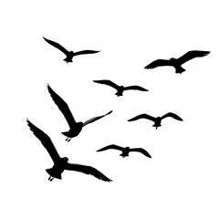 Obraz premium Winged Silhouette Symphony