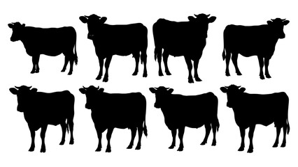 Cow Silhouette Set – Black Farm Cattle in Standing Poses on White Background