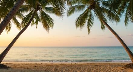 Fototapeta premium Tropical Beach Sunset. Palm Trees Ocean