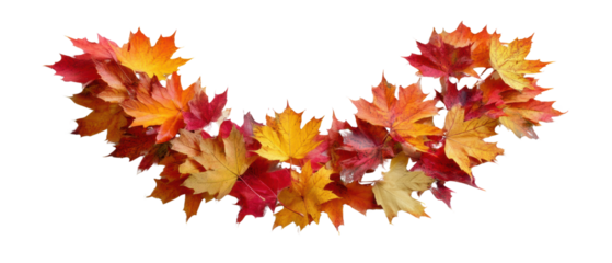 Colorful autumn leaves in vibrant hues.