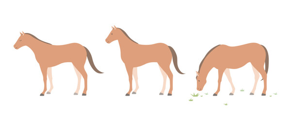 馬のベクターイラストセット/平常、休憩、食事のポーズ/シンプルなフラットスタイル