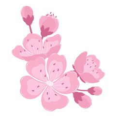 A Beautiful Cherry Blossom Flower Border. Flat and Simple Pink Sakura.