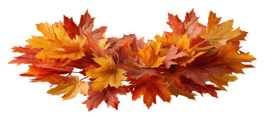 Fototapeta premium Colorful autumn leaves for seasonal decoration.