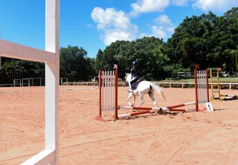 woman riding a horse, show jumping, equestrian show jumping, equestrian competition, rider show...