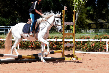 woman riding a horse, show jumping, equestrian show jumping, equestrian competition, rider show...