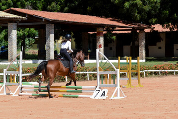 woman riding a horse, show jumping, equestrian show jumping, equestrian competition, rider show...