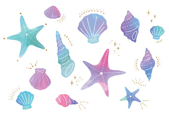 カラフルな水彩の貝殻のイラスト