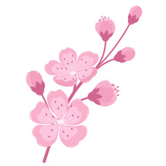 Cherry Blossom Flower Branch. Flat and Simple Pink Sakura.
