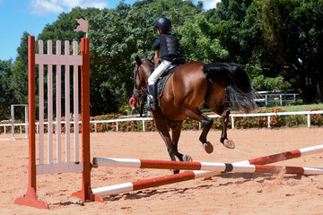 man riding horse, show jumping, equestrian show jumping, equestrian competition, obstacle course,...