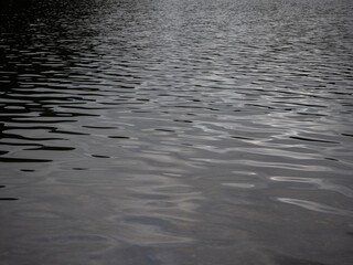 風で揺れる湖面と波　長野県大町市中綱湖