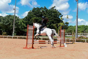 woman riding a horse, show jumping, equestrian show jumping, equestrian competition, rider show jumping, obstacle course, cross country show jumping, young woman, equestrian training, horse riding
